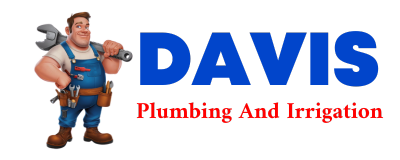 Trusted plumber in CARVERSVILLE